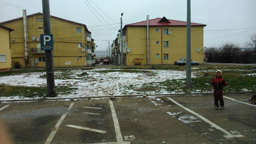 Sunt 15 blocuri cu 31, 35 și respectiv 47 de locuințe.